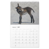 Calendrier des Ânes (Jan 2027)