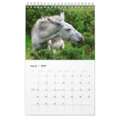 Calendrier des Ânes (Mar 2027)