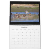 Calendrier des animaux 2019 de faune d'oiseaux de (Mar 2027)