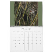 Calendrier des animaux 2019 de faune d'oiseaux de (Feb 2027)