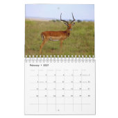 Calendrier des animaux africains (Feb 2027)
