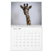 Calendrier des animaux africains (Jan 2027)