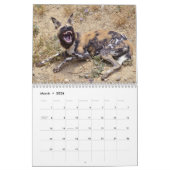 Calendrier des animaux africains (Mar 2026)