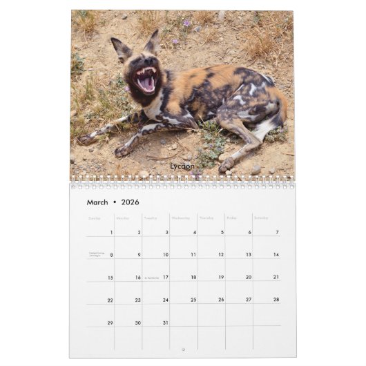 Calendrier des animaux africains (Mar 2026)