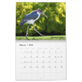 Calendrier des animaux africains (Feb 2026)