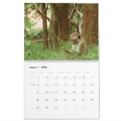 Calendrier des animaux africains (Mar 2026)