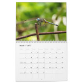 Calendrier des animaux agités (Mar 2027)