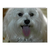 Calendrier des animaux de compagnie customisés (Protection)