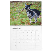 Calendrier des animaux de compagnie de Violetville (Feb 2027)
