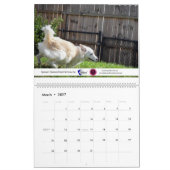 Calendrier des animaux de compagnie de Violetville (Mar 2027)