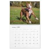 Calendrier des animaux de compagnie de Violetville (Jan 2027)