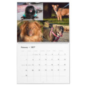 Calendrier des animaux de compagnie de Violetville (Feb 2027)