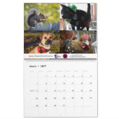 Calendrier des animaux de compagnie de Violetville (Mar 2027)