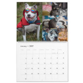 Calendrier des animaux de compagnie de Violetville (Jan 2027)