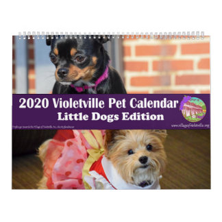 Calendrier des animaux de compagnie de Violetville
