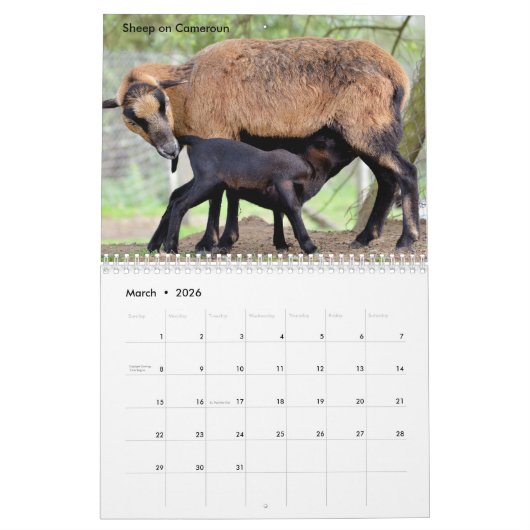 Calendrier des animaux de ferme (Mar 2026)