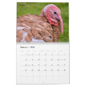 Calendrier des animaux de ferme (Feb 2026)