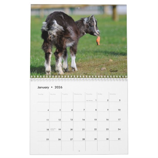 Calendrier des animaux de ferme (Jan 2026)