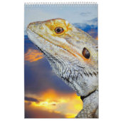 Calendrier des animaux et des oiseaux mixtes (Protection)