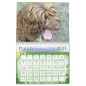 calendrier des animaux familiers 2012 (Mar 2027)