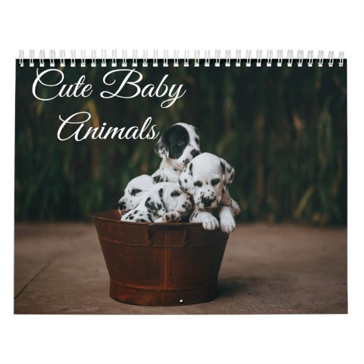 Calendrier des animaux mignons pour bébés (Protection)