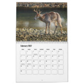 Calendrier des Animaux Sauvages (Feb 2027)