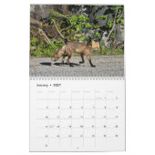 Calendrier des Animaux Sauvages (Jan 2027)