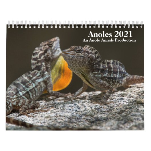 Calendrier des anneaux 2021 (Protection)
