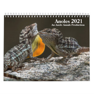 Calendrier des anneaux 2021