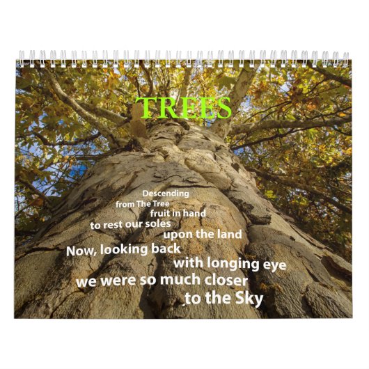 Calendrier des arbres (Protection)