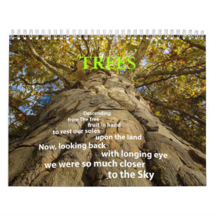 Calendrier des arbres