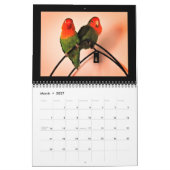Calendrier des aventures Lovebird (Mar 2027)