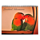 Calendrier des aventures Lovebird (Protection)