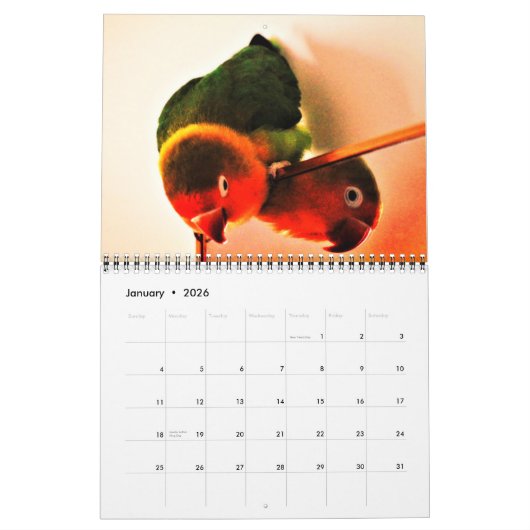 Calendrier des aventures Lovebird (Jan 2026)