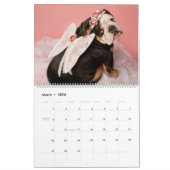 Calendrier des bandes Mad Hatters & Alice (Mar 2026)