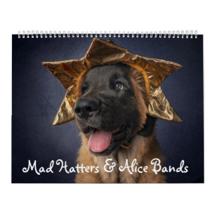Calendrier des bandes Mad Hatters & Alice