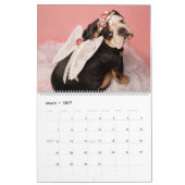 Calendrier des bandes Mad Hatters & Alice (Mar 2027)