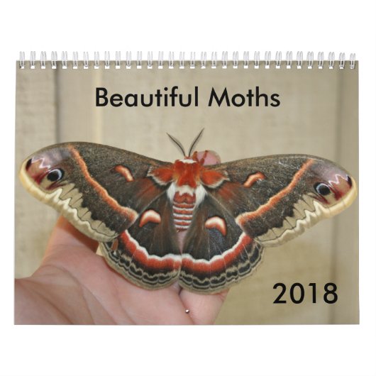 Calendrier des beaux papillons de nuit 2018 (Protection)