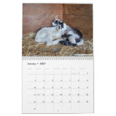 Calendrier des bébés chèvres (Jan 2027)