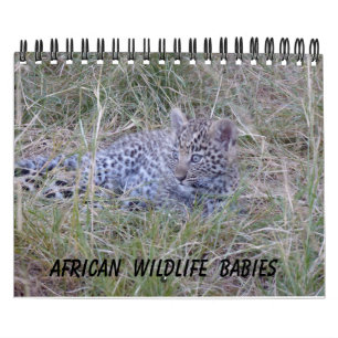 CALENDRIER DES BÉBÉS DE LA FAUNE AFRICAINE