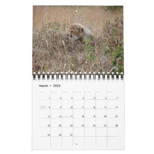 CALENDRIER DES BÉBÉS DE LA FAUNE AFRICAINE (Mar 2026)