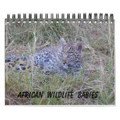 CALENDRIER DES BÉBÉS DE LA FAUNE AFRICAINE (Protection)