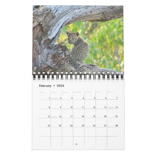 CALENDRIER DES BÉBÉS DE LA FAUNE AFRICAINE (Feb 2026)