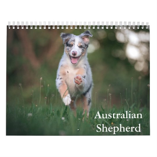 Calendrier des bergers australiens (Protection)