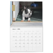 Calendrier des biscuits 2013 de petit (Mar 2026)