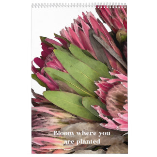 Calendrier des bouquets Protea