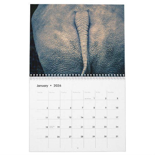 Calendrier des boutons 2025 (Jan 2026)