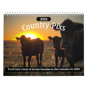 Calendrier des bovins de boucherie 2024