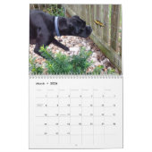 CALENDRIER DES BOXEURS 2018 (Mar 2026)