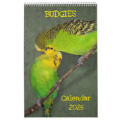 Calendrier des Budgies (Protection)